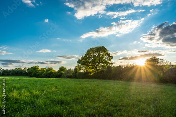 Fototapeta Sunset sun flare field