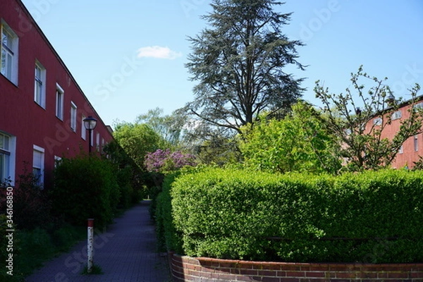 Obraz Bauhaussiedlung in Berlin