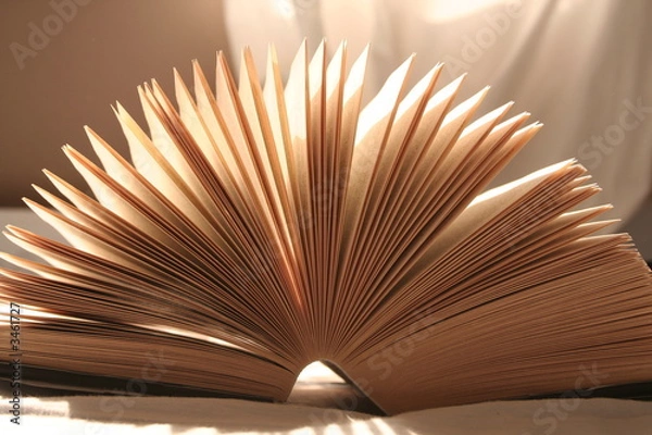 Fototapeta enlighted book