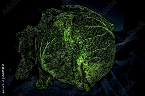 Obraz head of cabbage