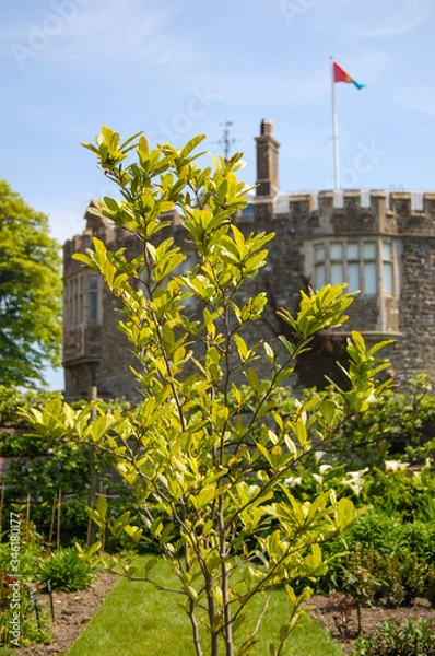 Obraz  A garden waiting for visitors