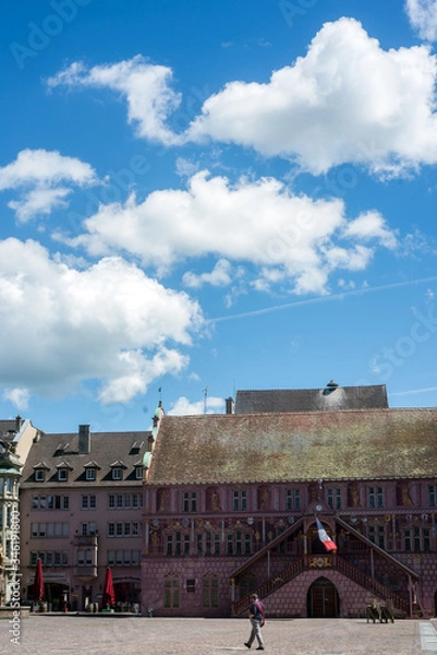 Fototapeta Panorama of the main place in Mulhouuse on cloudy sky background