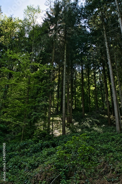 Fototapeta Lost Place