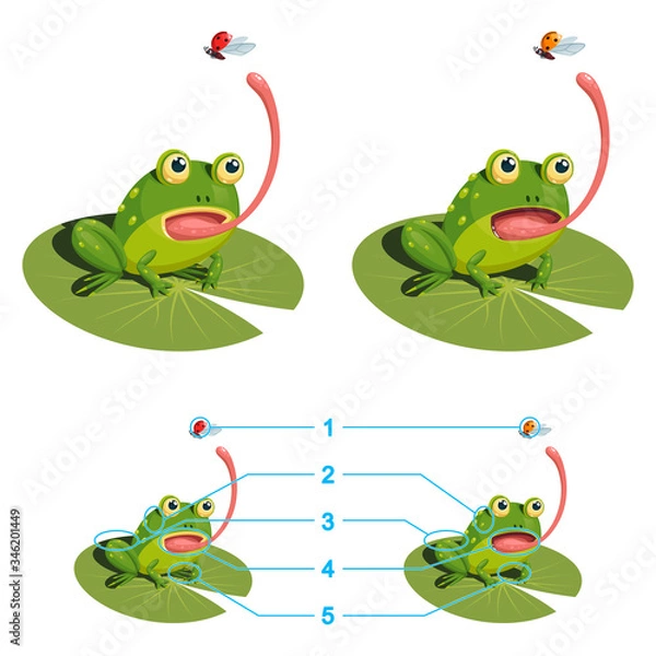 Fototapeta The frog is trying to catch a ladybug with its tongue. Find the five differences between the two pictures. Children's game picture is a riddle with a solution below.