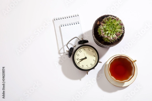 Fototapeta Succulent in a ceramic pot and notebooks on a white table. Space for text