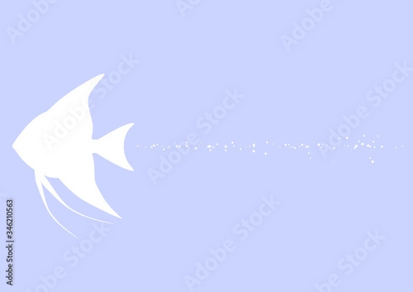 Fototapeta エンゼルフィッシュ