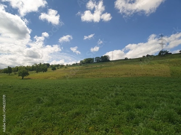 Obraz green field and blue sky