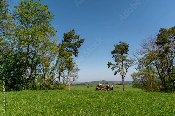 Fototapeta A viewing point with a bench carved from an old fallen tree.  The views are across the countryside and farmlands of rural somerset in the united kingdom