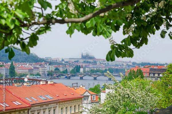 Fototapeta Prague - The panorama of the city with the bridges and the Castel