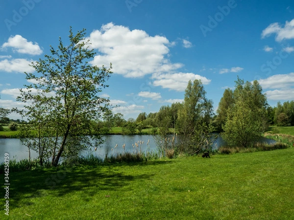 Fototapeta EMPTY GOLF COURSE 