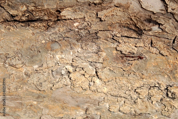 Obraz old stone wall