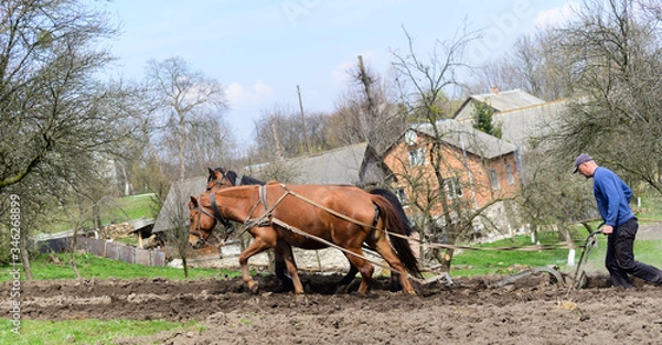 Obraz Man ploughing the field with horses