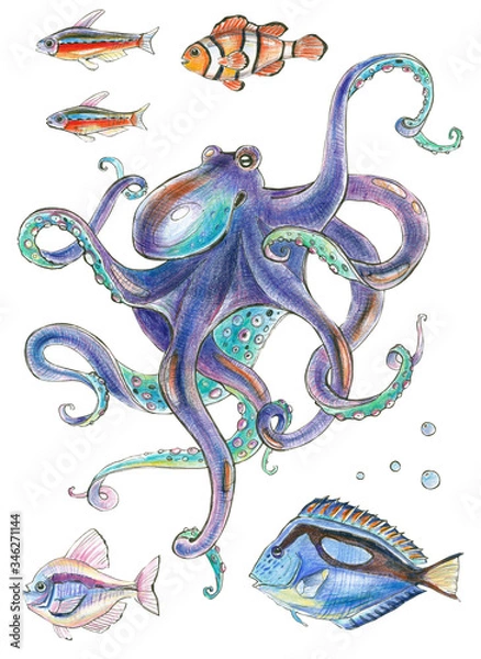 Fototapeta octopus and tropical fish - colored pencil illustration
