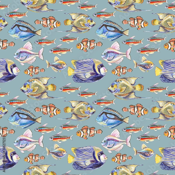 Fototapeta Seamless pattern - tropical fish - colored pencils illustration