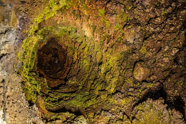 Obraz 溶岩樹型洞窟探索