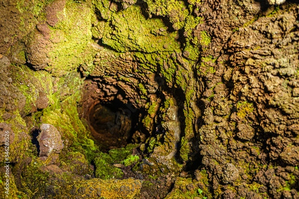 Obraz 溶岩樹型洞窟探索