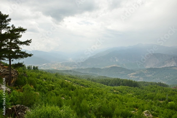 Fototapeta Cone forest in Turkey.