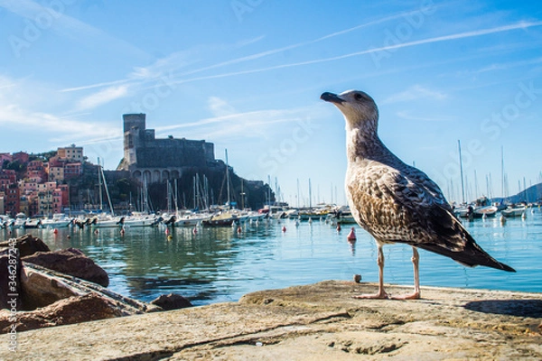 Obraz seagull on the pier, Castle in Lerici
