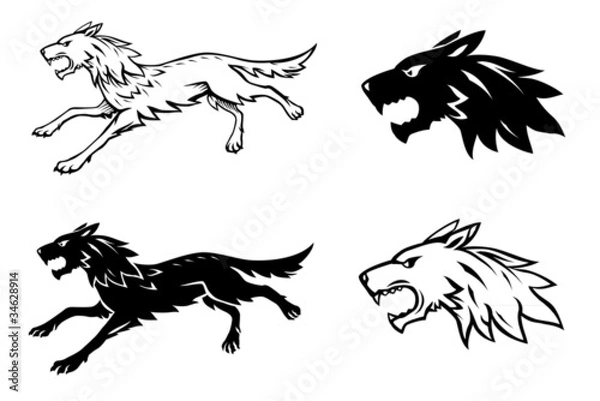 Fototapeta Ilustracja wilka