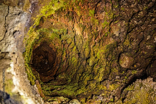 Obraz 溶岩樹型洞窟探索