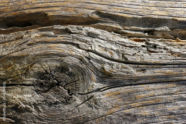 Obraz old wood texture