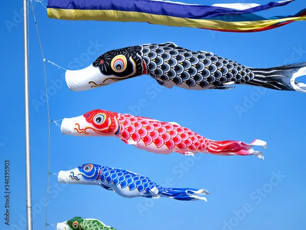 Fototapeta 鯉のぼり