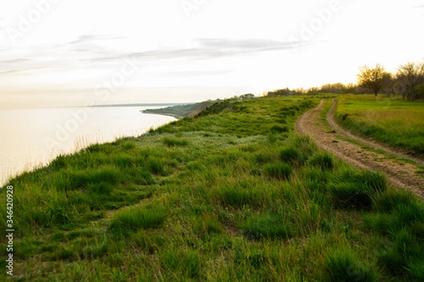 Obraz evening nature