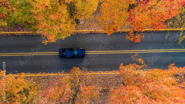 Obraz Isolation Fall 