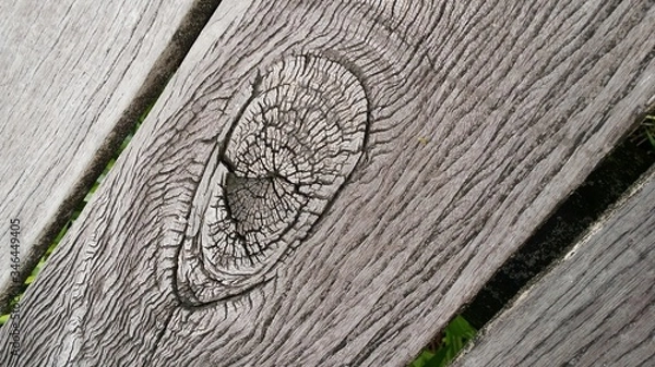 Obraz Old wood texture