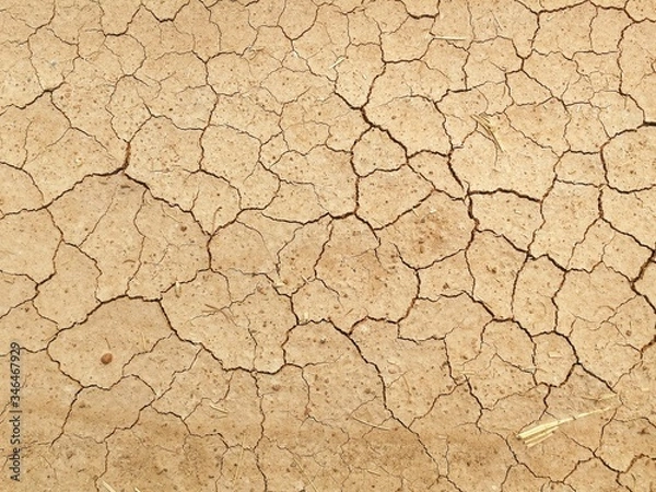 Obraz high angle view of crack soil ground for abstract natural background