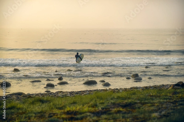 Obraz Close-up Surfer silhouette with short surfboard going to the water at sunset with rock and grass background