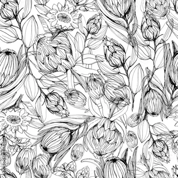 Fototapeta Seamless pattern with protea flower. manual graphics. Coloring book for children and adults, mascara, floral pattern for textile decor and design, wallpaper, relaxation, meditation. stock graphics. 