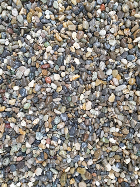 Obraz Colored, rounded and wet pebbles as a background.