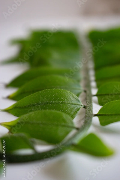 Obraz nature background