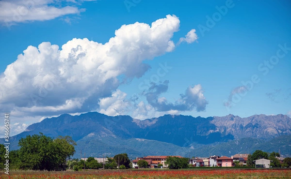 Obraz landscape with mountains