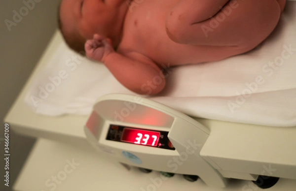 Fototapeta Newborn baby at hospital is getting measured and weight in hospital and checked with Apgar scale after being born with no complications. Healthy caucasian baby with normal weight.