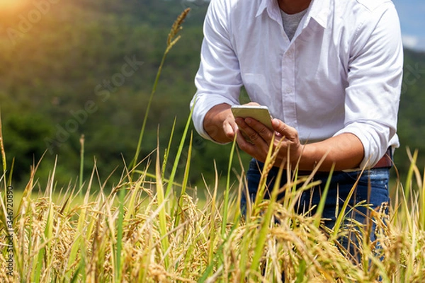 Fototapeta Hands of farmer, Agriculture technology farmer man using tablet Modern technology concept agriculture.