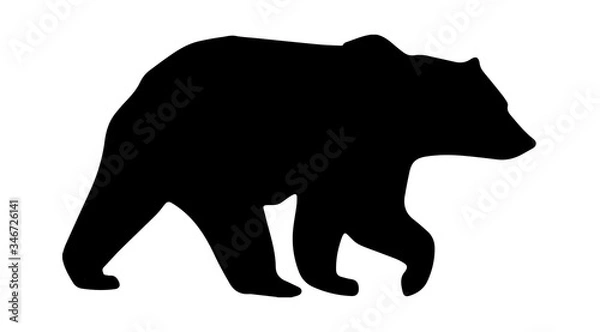 Fototapeta Bear Silhouette On White Background,