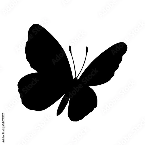 Fototapeta Silhouette of butterfly on white background