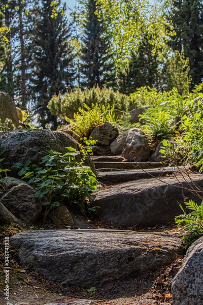 Fototapeta Stone path. Stone steps. A beautiful landscape.