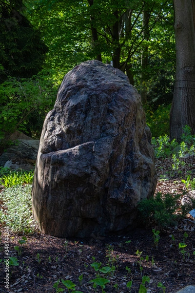 Fototapeta Big stone, boulder in a botanical park.