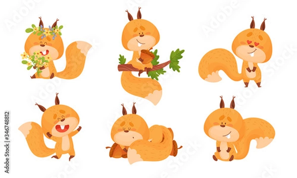 Fototapeta Cute Squirrel Character Doing Different Activities Vector Set