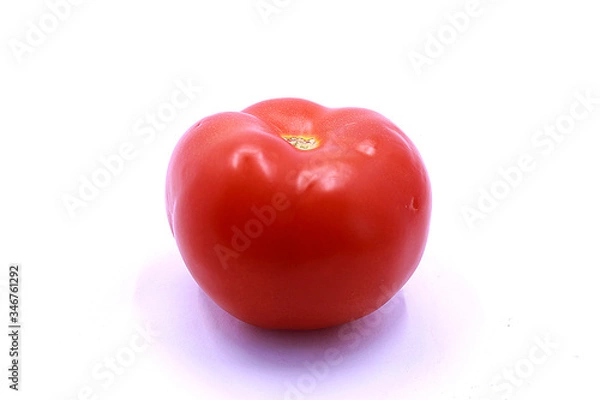 Fototapeta Photo of a red prime minister on a white background, close-up