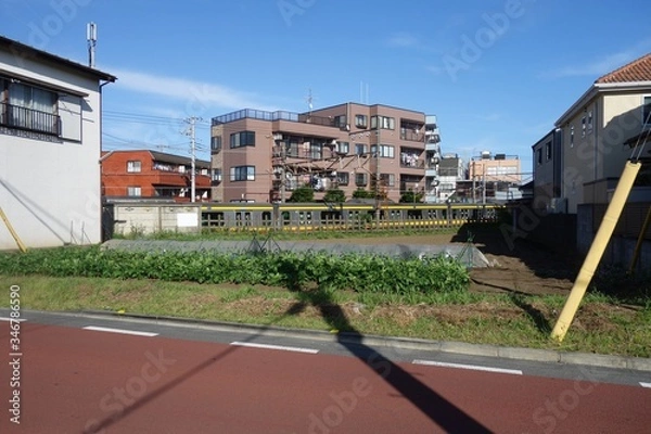 Obraz 晴れた日の住宅街の畑