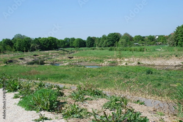 Obraz Renaturierte Nidda Karben 2020