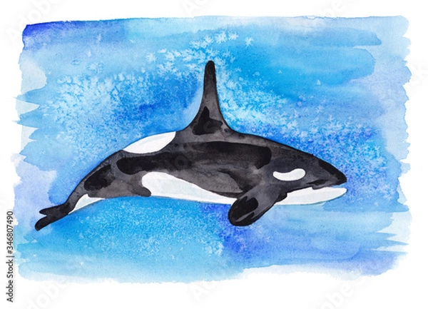 Obraz Painting of an Orca whale swimming in the ocean