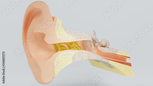 Fototapeta 3d render ear cleansing ear stick. cleansing earwax with an ear stick