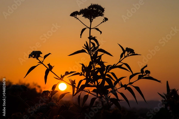 Obraz Sunset in Bali Island