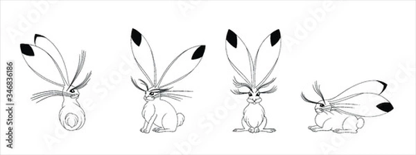 Obraz Rabbits set hand drawn and isolated on a white background.