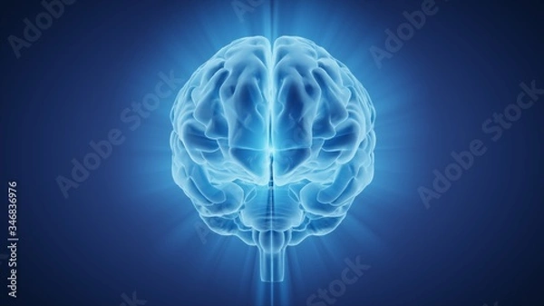 Fototapeta 3d illustration human brain with convolutions and a radiance of light